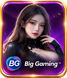 BIG gaming