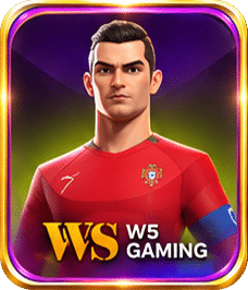 WS GAMING